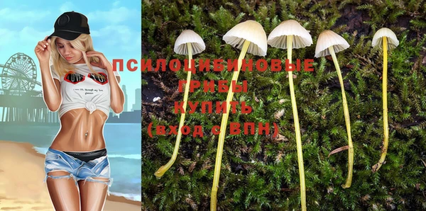 Альфа ПВП Пересвет