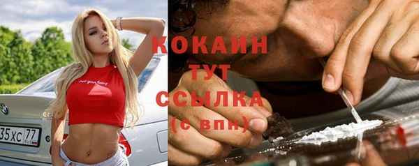 Альфа ПВП Пересвет