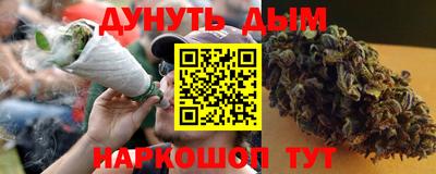 гашик Дубна