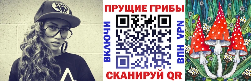 Псилоцибиновые грибы Magic Shrooms цены кракен маркетплейс Семилуки