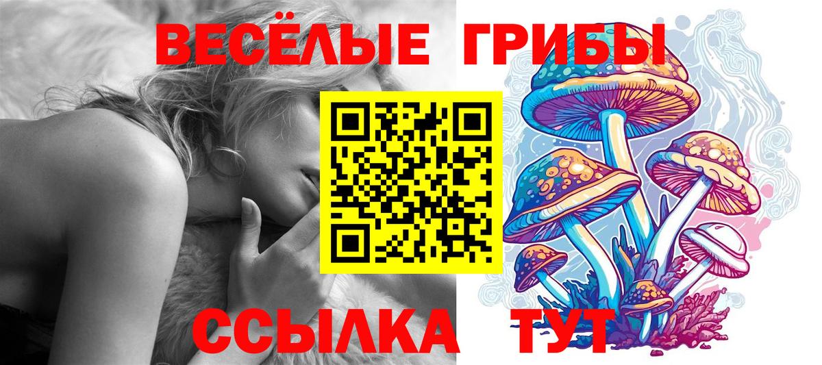 Семилуки  Галлюциногенные грибы Psilocybe  Вход с VPN  Галлюциногенные грибы Cubensis 