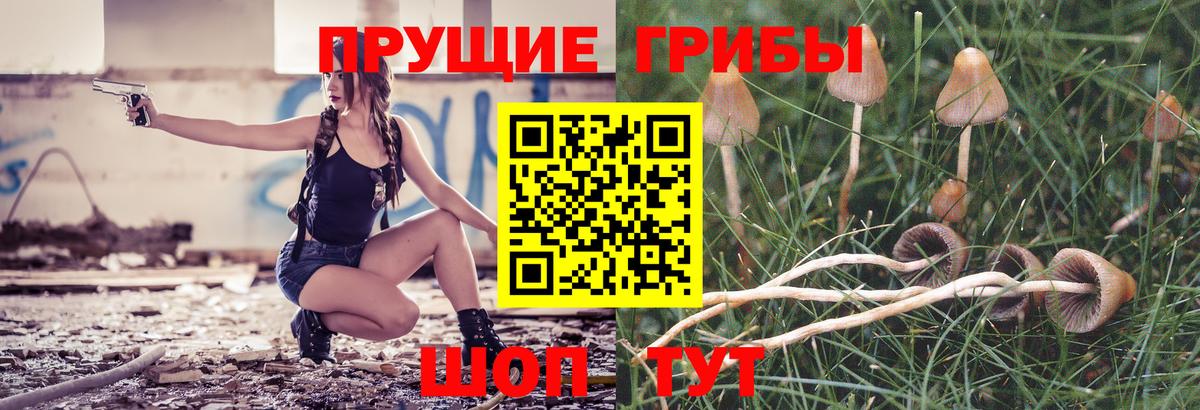 Галлюциногенные грибы Psilocybe  Семилуки 