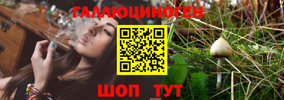 Псилоцибиновые грибы GOLDEN TEACHER Семилуки