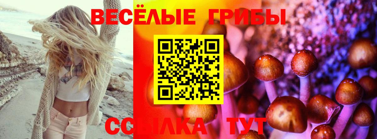 Галлюциногенные грибы Magic Shrooms Семилуки